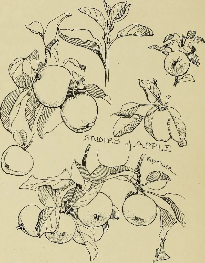 An illustration from Art crafts for amateurs, 1901, leaf 35