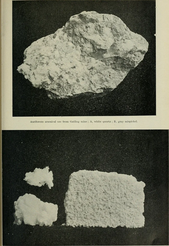 An illustration from Annual report, 1891, leaf 146