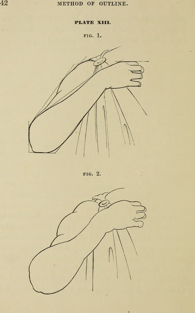 An illustration from The art of figure drawing : containing practical instructions for a course of study in this branch of art, 1852, leaf 45
