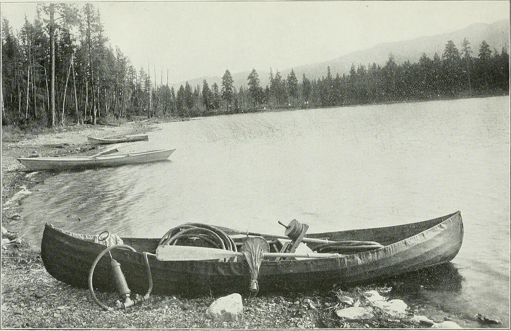 An illustration from Transactions, 1879, leaf 120
