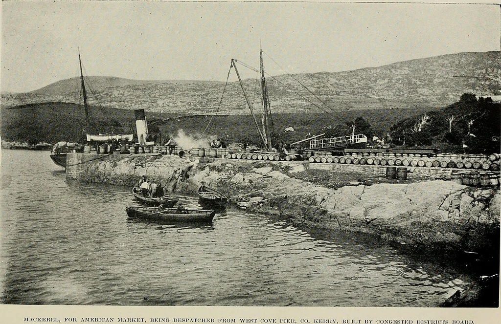 An illustration from Ireland; industrial and agricultural, 1902, leaf 333