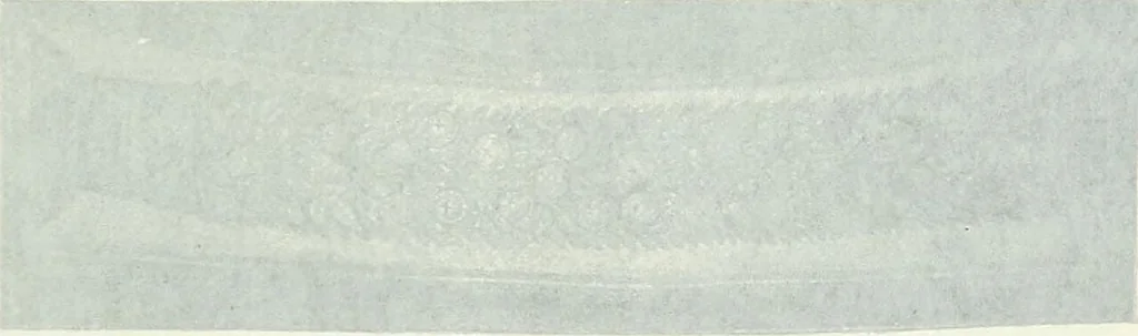 An illustration from Die Wandmosaiken von Ravenna, 1912, leaf 340