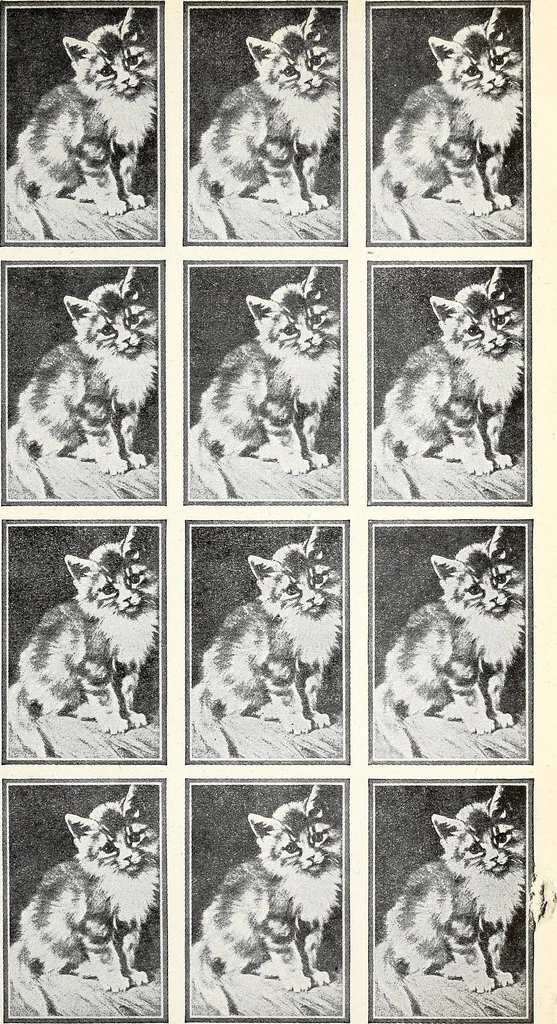 An illustration from The Kindergarten-Primary Magazine, 1913, leaf 40