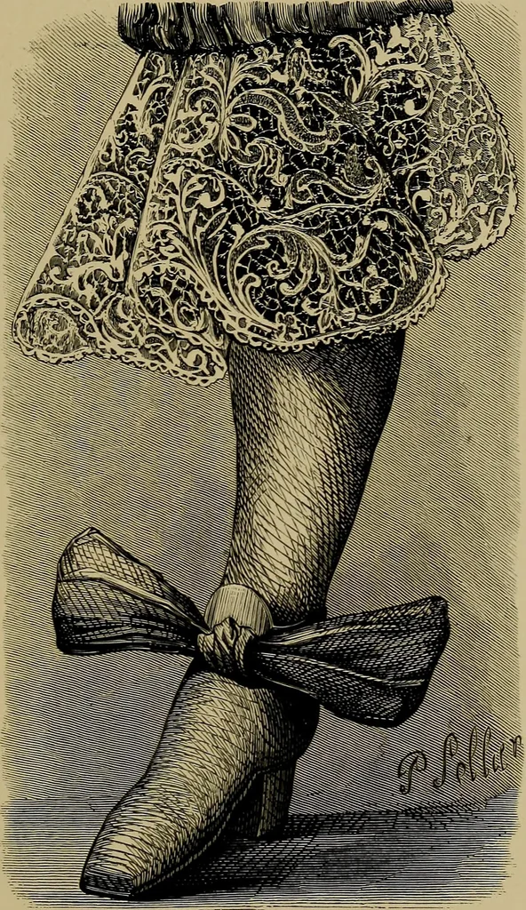 An illustration from History of lace, 1902, leaf 270