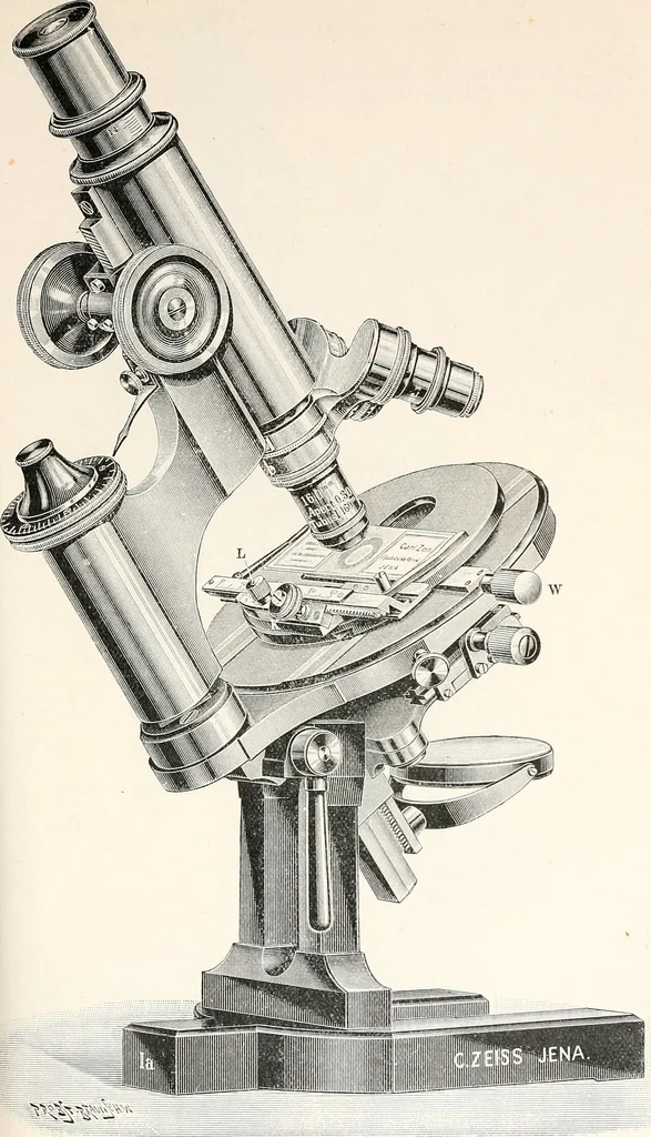An illustration from The microscope and its revelations, 1901, leaf 234