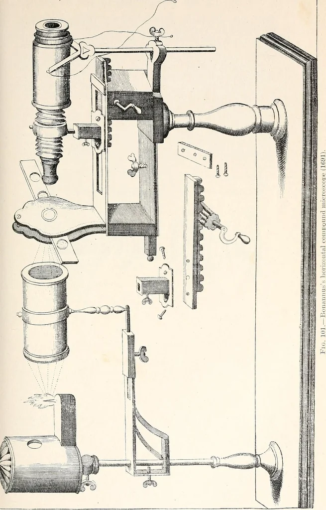 An illustration from The microscope and its revelations, 1901, leaf 160