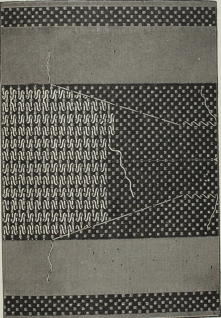 An illustration from Florence home needle-work, 1895, leaf 30