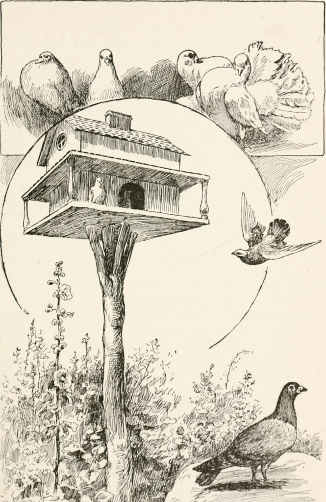 An illustration from In the child's world : morning talks and stories for kindergartens, primary schools and homes, 1893, leaf 94