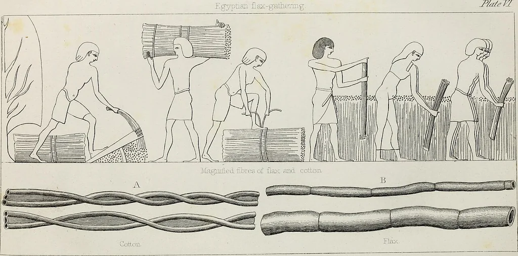 An illustration from The textile manufactures of the ancients : embracing the history of silk, linen, cotton, wool, and other fibrous substances : deduced from Yate's (sic) Textrinum antiquorum, and other authentic sources, 1873, leaf 399
