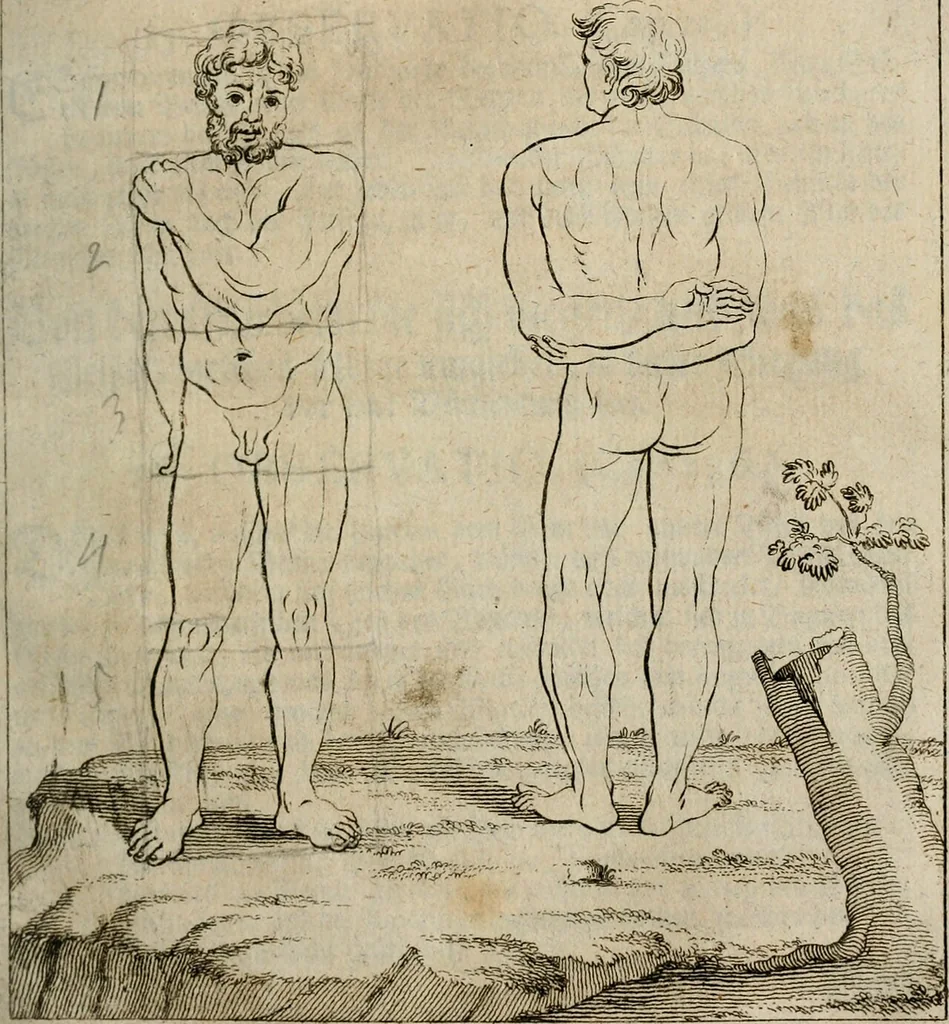 An illustration from Des vortreflichen Florentinischen Mahlers Lionardo da Vinci höchst-nützlicher Tractat von der Mahlerey : aus dem Italiänischen und Frantzöischen in das Teutsche übersetzet : auch nach dem Original mit vielen Kupfern und saubern Holtzschnitten versehen : und mit beygefügten Leben des Auctoris zum Druck befördert, 1747, leaf 52