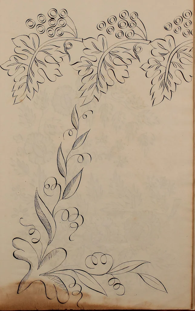 An illustration from (Embroidery designs, 1850, leaf 86