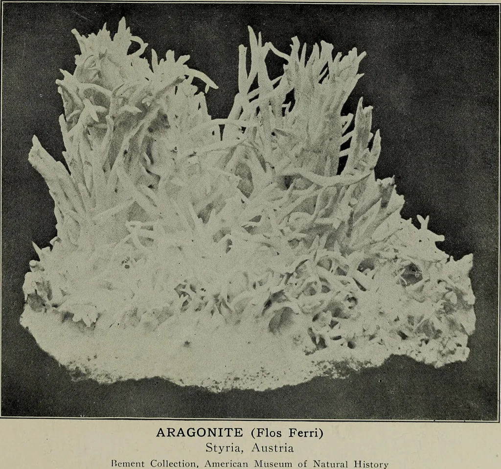 An illustration from A popular guide to minerals : with chapters on the Bement Collection of minerals in the American Museum of Natural History, and the development of mineralogy, 1912, leaf 212