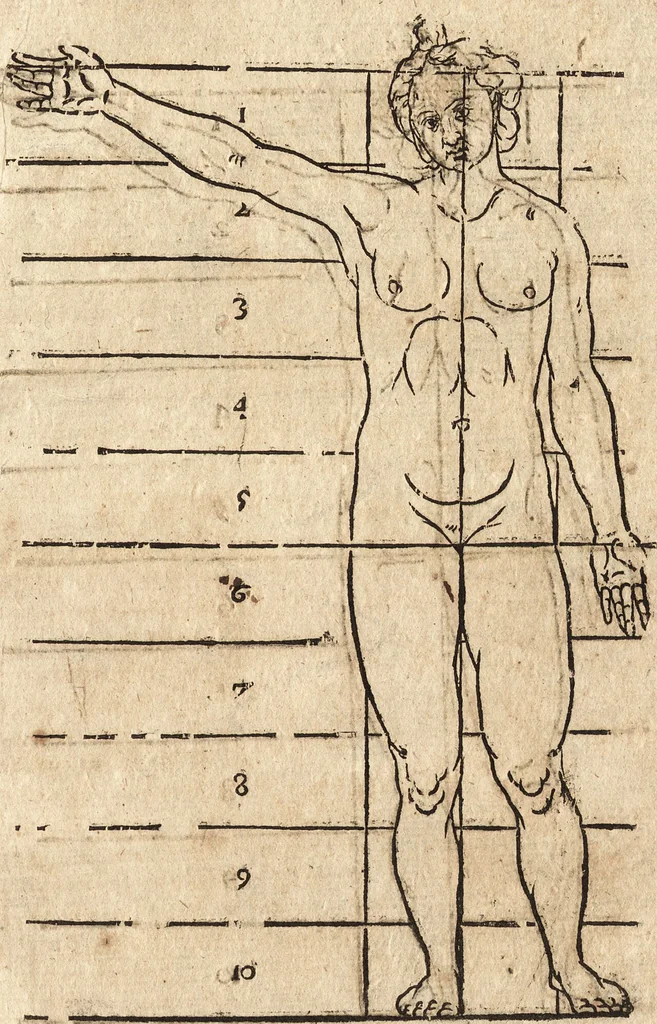 An illustration from Varia conmensuracion para le escultura y arquitectura, 1675, leaf 162