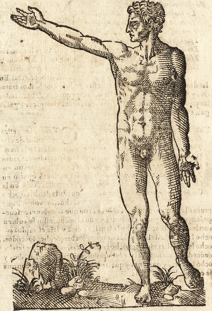 An illustration from Varia conmensuracion para le escultura y arquitectura, 1675, leaf 159