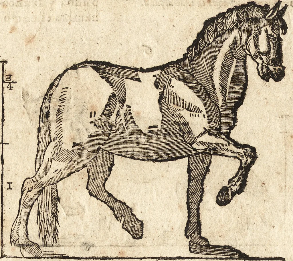 An illustration from Varia conmensuracion para le escultura y arquitectura, 1675, leaf 193