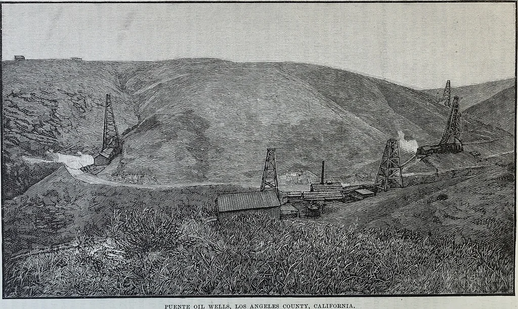 An illustration from Annual report of the State Mineralogist for the year ending ..., 1883, leaf 81