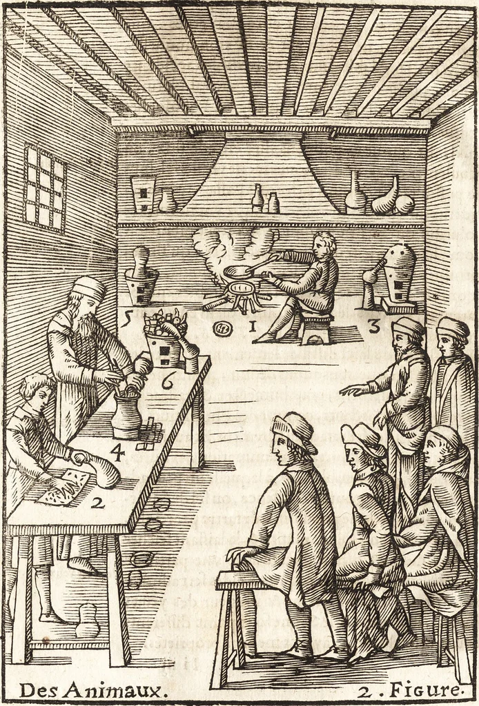 An illustration from Le vray et methodique cours de la physique resolutiue, vulgairement dite chymie : representé par figures generales & particulieres : pour connoistre la theotechnie ergocosmique, c'est à dire, l'art de Dieu, en l'ouurage de l'vniuers, 1653, leaf 277