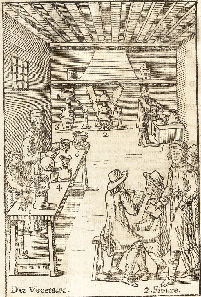 An illustration from Le vray et methodique cours de la physique resolutiue, vulgairement dite chymie : representé par figures generales & particulieres : pour connoistre la theotechnie ergocosmique, c'est à dire, l'art de Dieu, en l'ouurage de l'vniuers, 1653, leaf 355