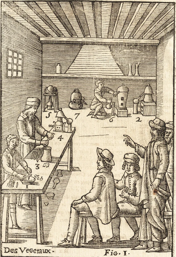 An illustration from Le vray et methodique cours de la physique resolutiue, vulgairement dite chymie : representé par figures generales & particulieres : pour connoistre la theotechnie ergocosmique, c'est à dire, l'art de Dieu, en l'ouurage de l'vniuers, 1653, leaf 339