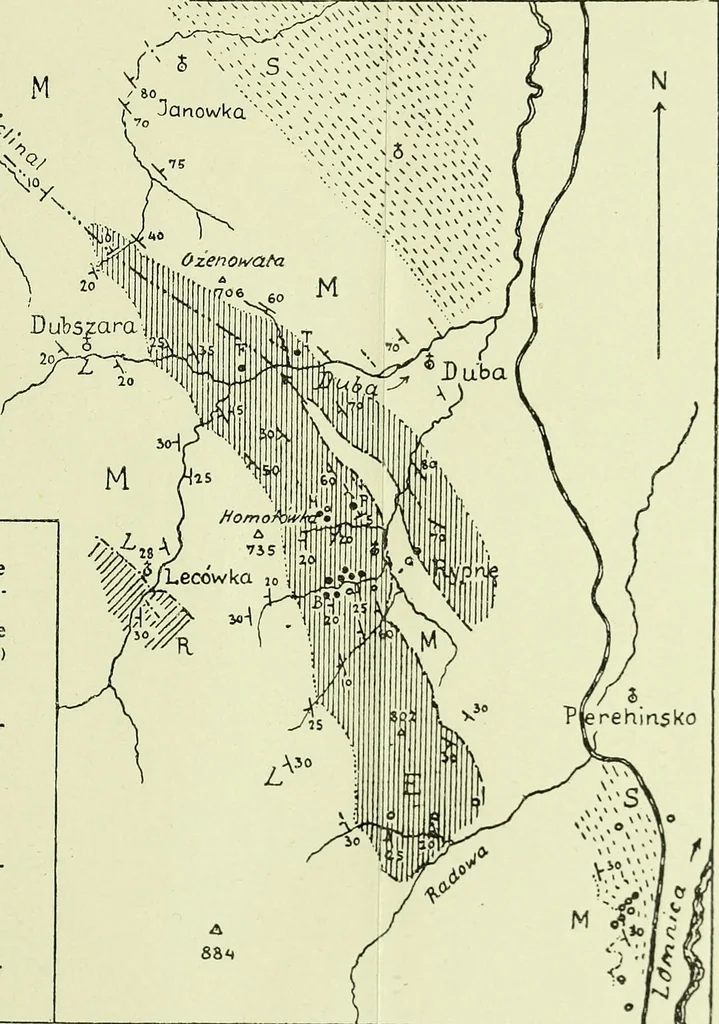 An illustration from Archives des sciences physiques et naturelles, 1919, leaf 258