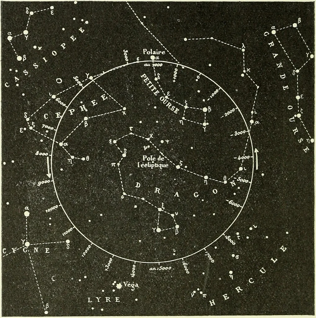An illustration from Archives des sciences physiques et naturelles, 1919, leaf 603