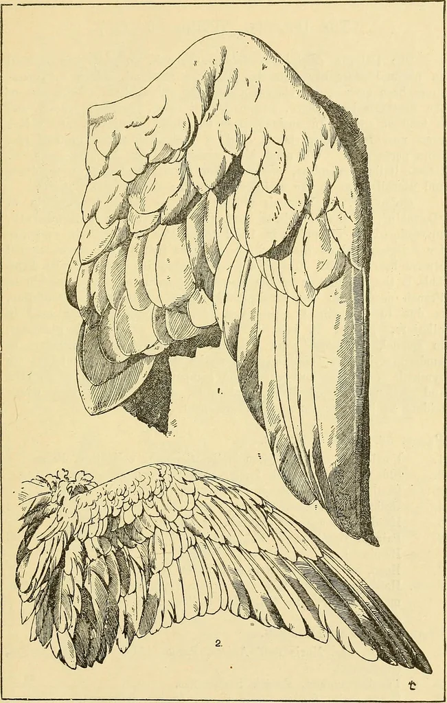 An illustration from Handbook of ornament; a grammar of art, industrial and architectural designing in all its branches, for practical as well as theoretical use, 1900, leaf 99