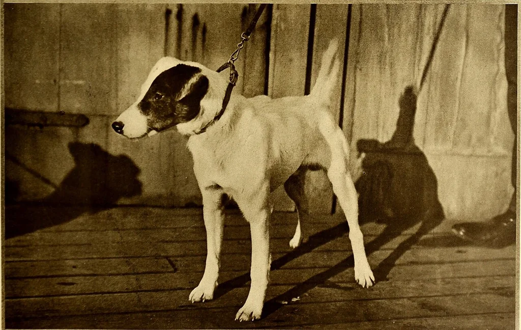 An illustration from American homes and gardens, 1905, leaf 46