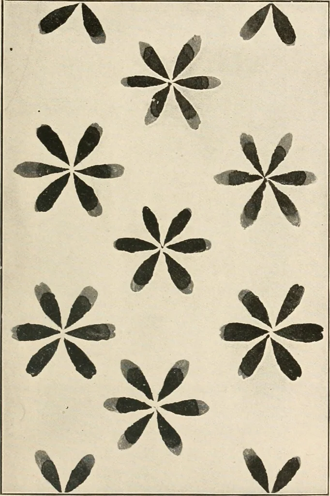 An illustration from Suggestions for handwork in school and home, 1911, leaf 44