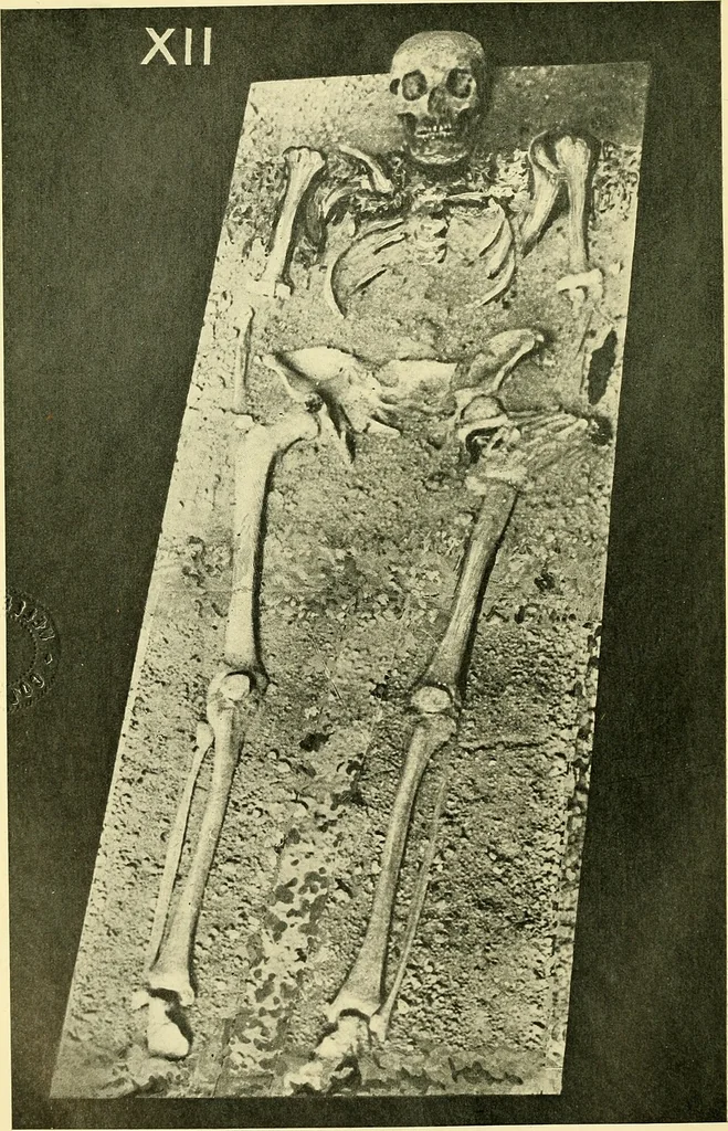 An illustration from The arts in early England, 1903, leaf 219