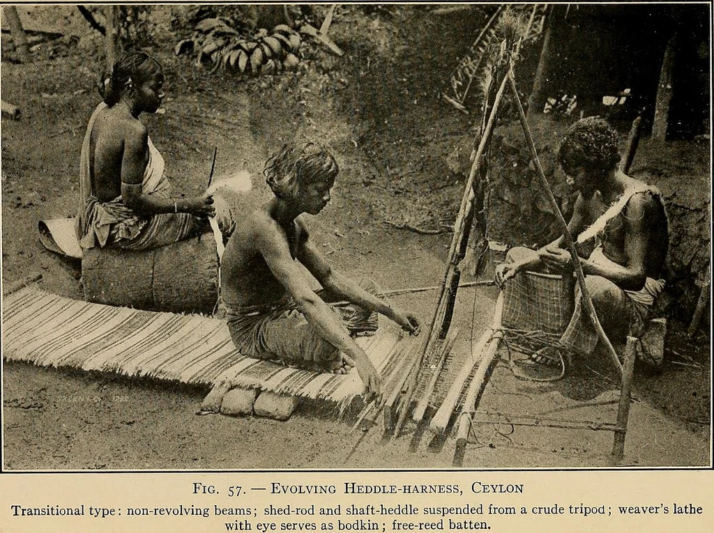 An illustration from Yarn and cloth making; an economic study; a college and normal schools text preliminary to fabric study, and a reference for teachers of industrial history and art in secondary and elementary schools, 1918, leaf 208