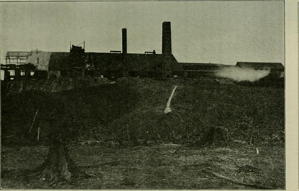 An illustration from Transactions, 1895, leaf 594