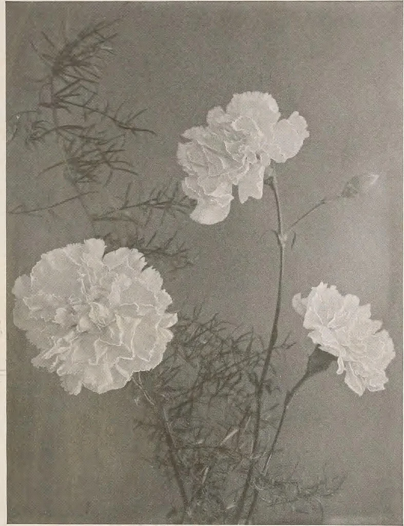 An illustration from Keramic studio, 1899, leaf 60