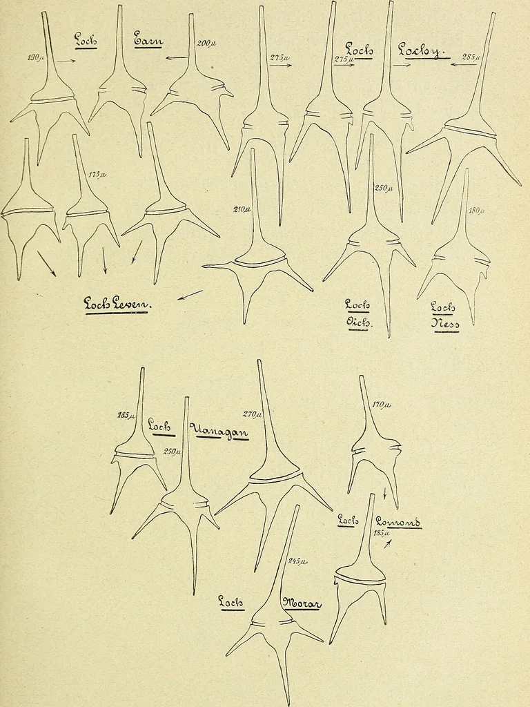 An illustration from Archives des sciences physiques et naturelles, 1896, leaf 368
