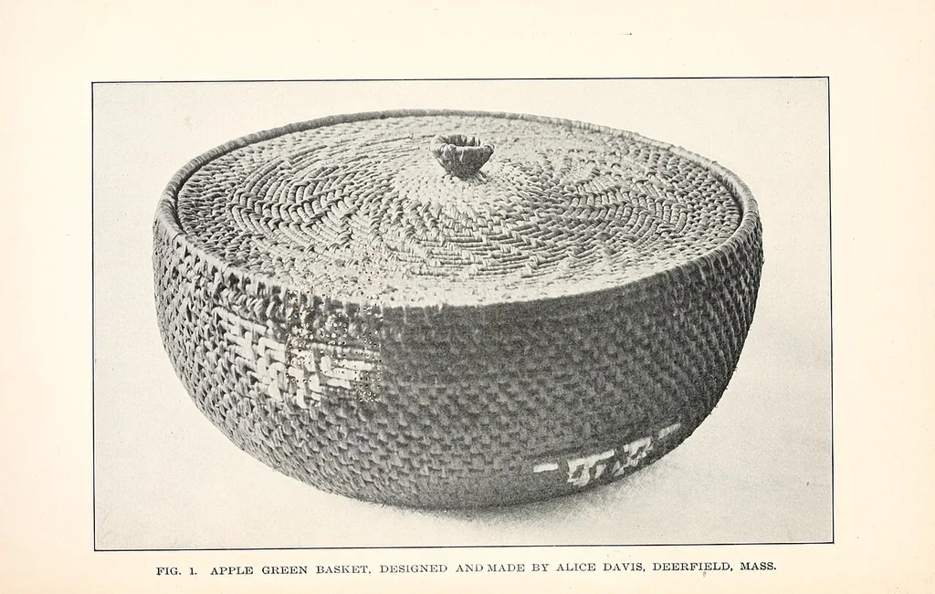 An illustration from How to make Indian and other baskets, 1903, leaf 5