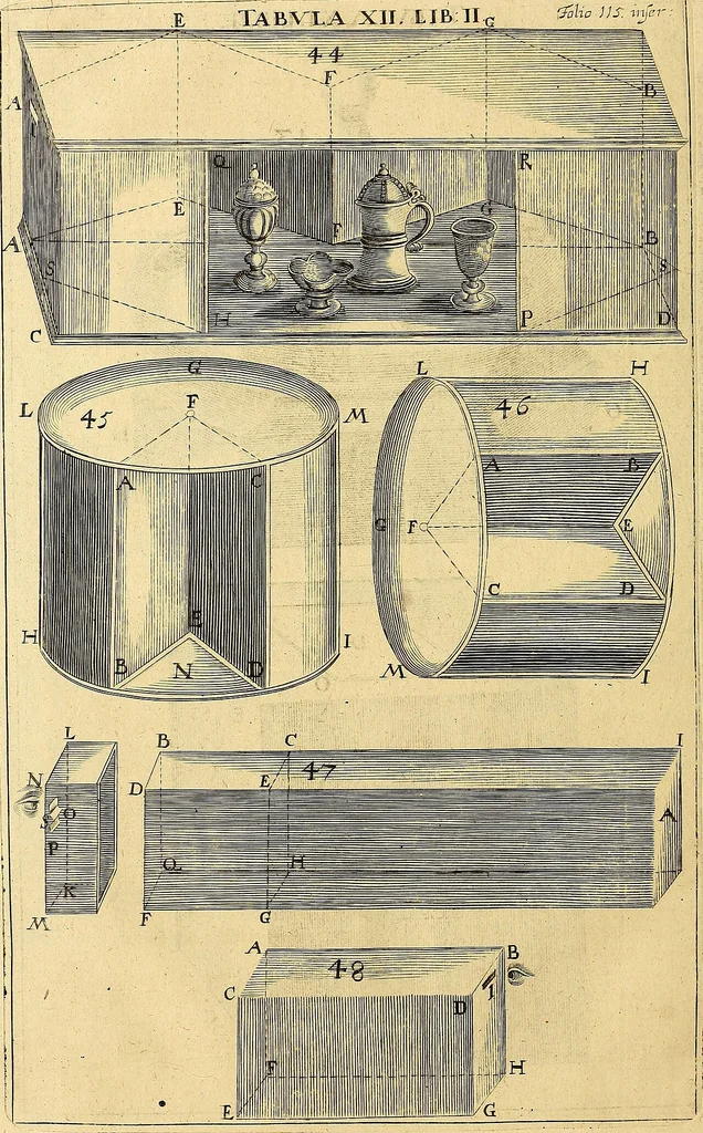 An illustration from Nervus opticus sive tractatus theoricus in tres libros opticam, catoptricam, dioptricam distributus : in quibus radiorum â lumine, vel objecto per medium diaphanum processus, natura, proprietates, & effectus, selectis, & rarioribus experientijs, figuris, demonstrationibusque exhibentur, 1675, leaf 169
