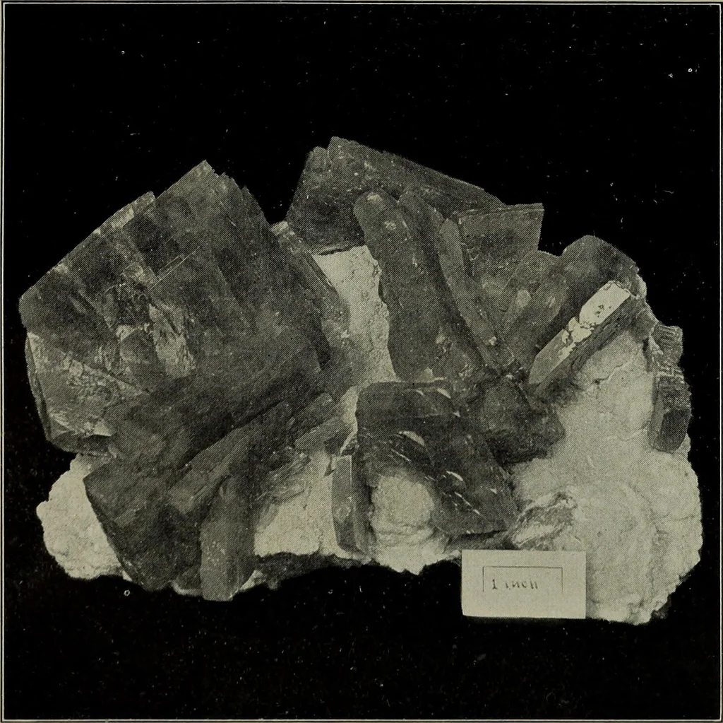 An illustration from A popular guide to minerals : with chapters on the Bement Collection of minerals in the American Museum of Natural History, and the development of mineralogy, 1912, leaf 444
