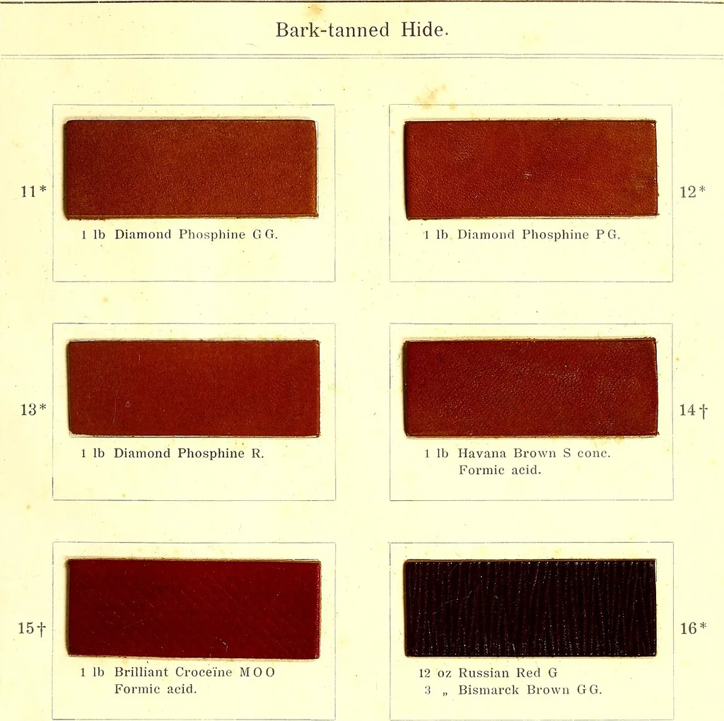 An illustration from The dyeing of leather with the dyestuffs of Cassella Color Company, 1910, leaf 40