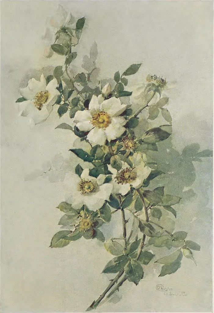 An illustration from Keramic studio, 1899, leaf 66