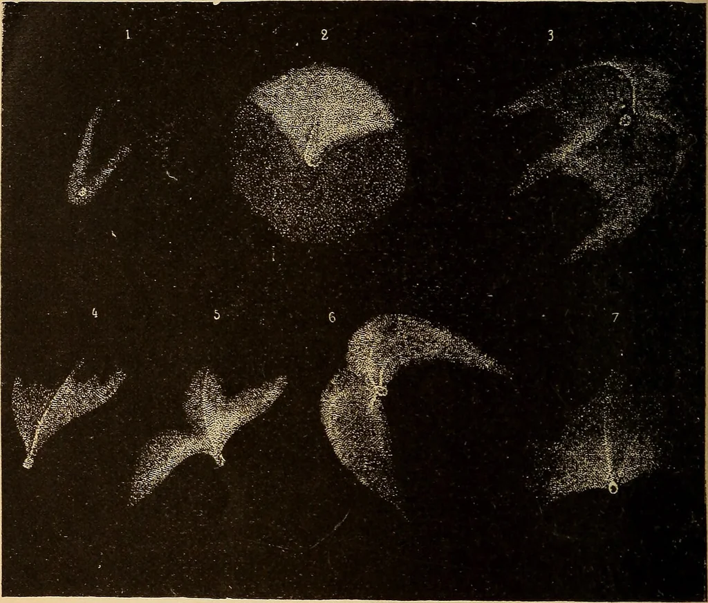 An illustration from Astronomy for the use of schools and academies, 1882, leaf 305
