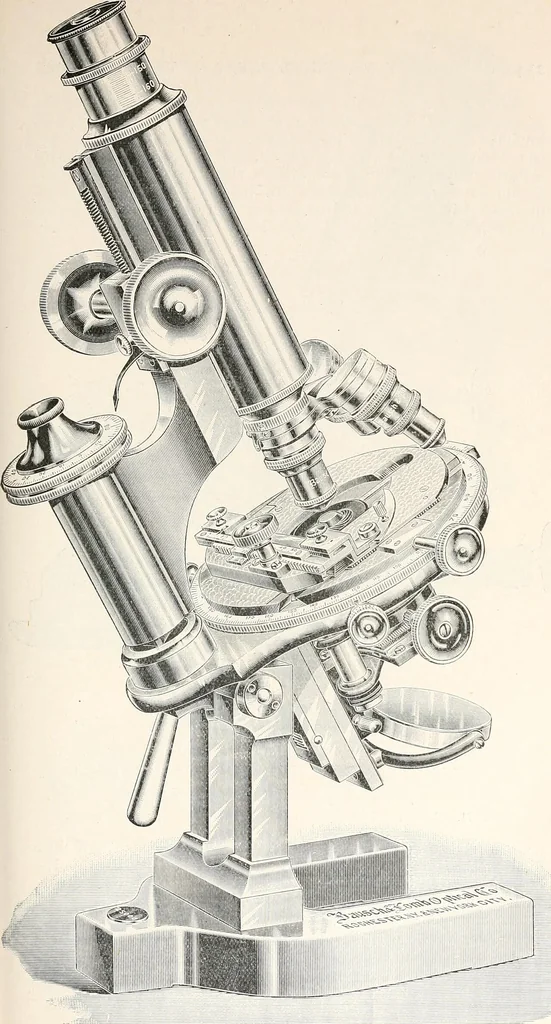 An illustration from The microscope and its revelations, 1901, leaf 240
