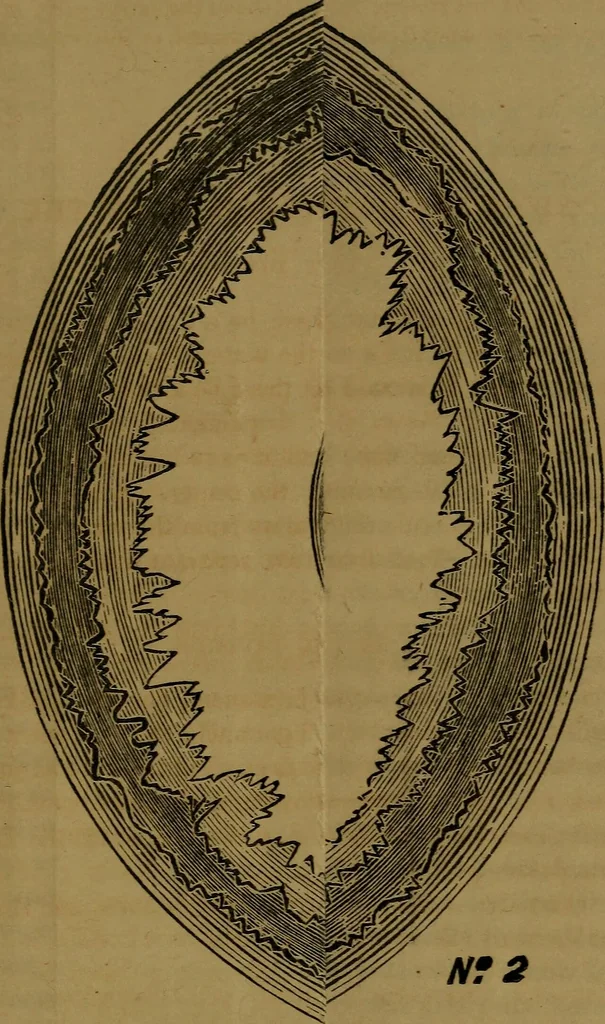 An illustration from Bible astronomy; or, The little book on the mysteries and wonder of the rise and fall of Babylon, 1853, leaf 24