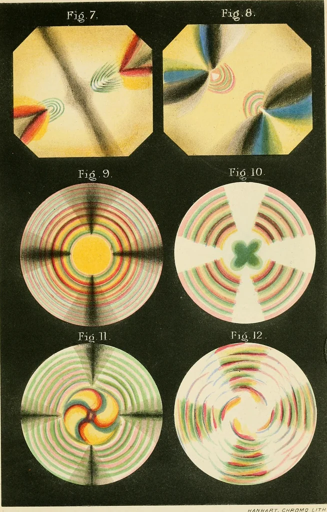 An illustration from Polarisation of light, 1874, leaf 6