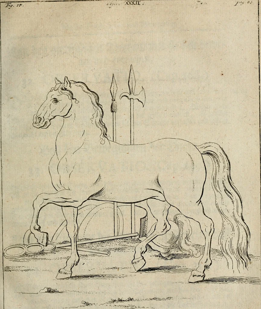 An illustration from Des vortreflichen Florentinischen Mahlers Lionardo da Vinci höchst-nützlicher Tractat von der Mahlerey : aus dem Italiänischen und Frantzöischen in das Teutsche übersetzet : auch nach dem Original mit vielen Kupfern und saubern Holtzschnitten versehen : und mit beygefügten Leben des Auctoris zum Druck befördert, 1747, leaf 92