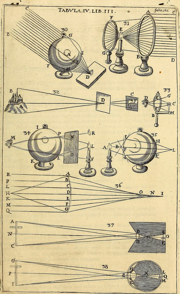 An illustration from Nervus opticus sive tractatus theoricus in tres libros opticam, catoptricam, dioptricam distributus : in quibus radiorum â lumine, vel objecto per medium diaphanum processus, natura, proprietates, & effectus, selectis, & rarioribus experientijs, figuris, demonstrationibusque exhibentur, 1675, leaf 230