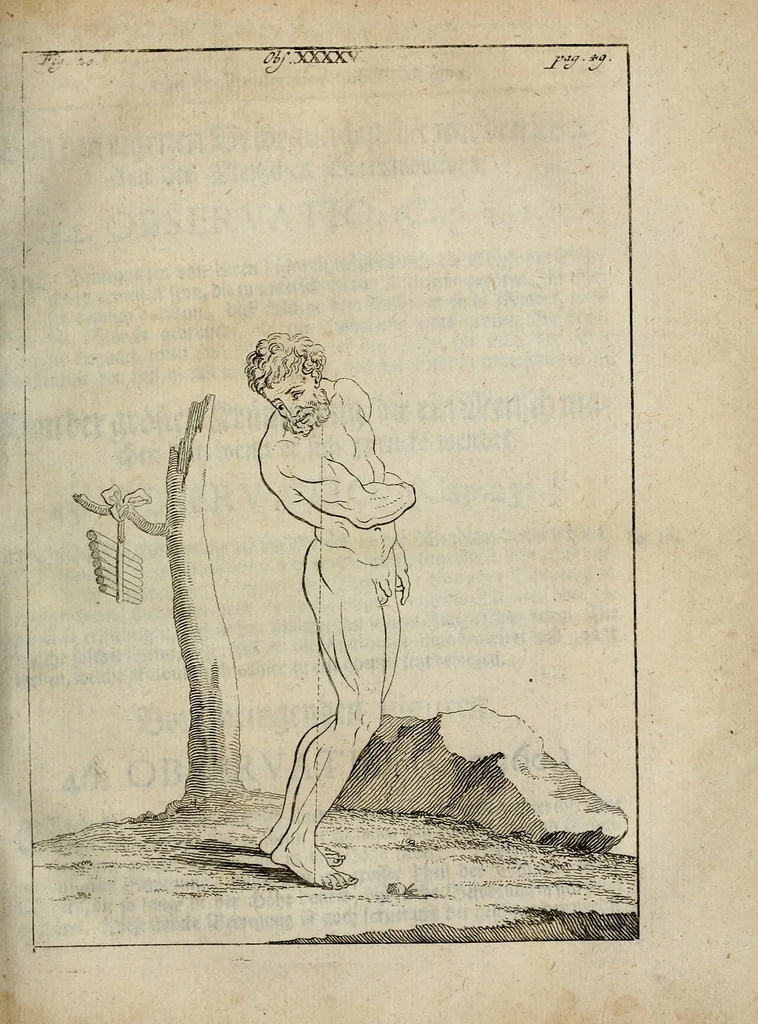 An illustration from Des vortreflichen Florentinischen Mahlers Lionardo da Vinci höchst-nützlicher Tractat von der Mahlerey : aus dem Italiänischen und Frantzöischen in das Teutsche übersetzet : auch nach dem Original mit vielen Kupfern und saubern Holtzschnitten versehen : und mit beygefügten Leben des Auctoris zum Druck befördert, 1747, leaf 110