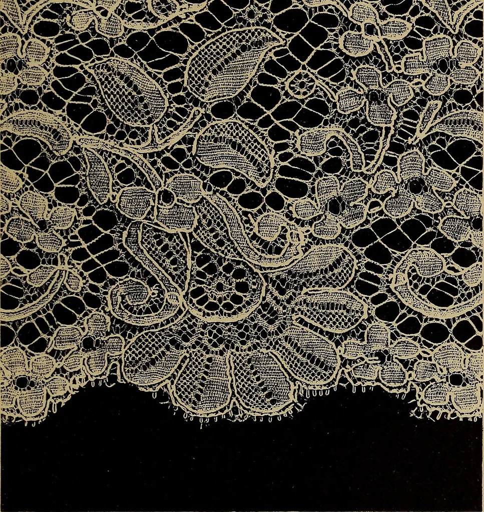 An illustration from Dentelles et guipures : anciennes et modernes, imitations ou copies. Varieté des genres et des points. 52 portraits documentaires, 249 échantillons de dentelles, collerettes, fraises, manchettes, rabats, etc., 1904, leaf 307