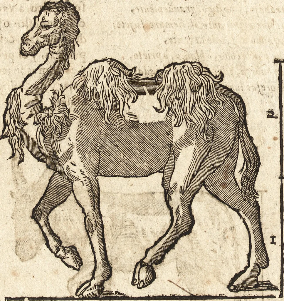 An illustration from Varia conmensuracion para le escultura y arquitectura, 1675, leaf 195