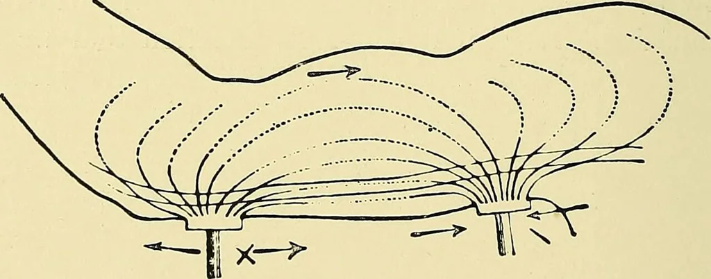An illustration from A manual of practical medical electricity : the Röntgen rays and Finsen light, 1902, leaf 289