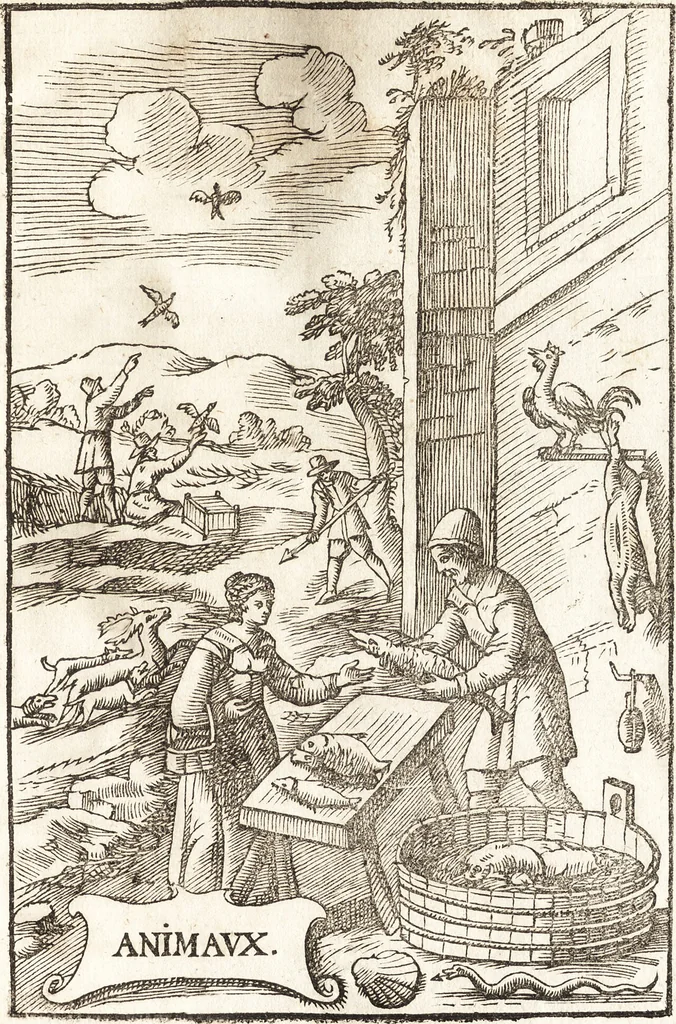 An illustration from Le vray et methodique cours de la physique resolutiue, vulgairement dite chymie : representé par figures generales & particulieres : pour connoistre la theotechnie ergocosmique, c'est à dire, l'art de Dieu, en l'ouurage de l'vniuers, 1653, leaf 256