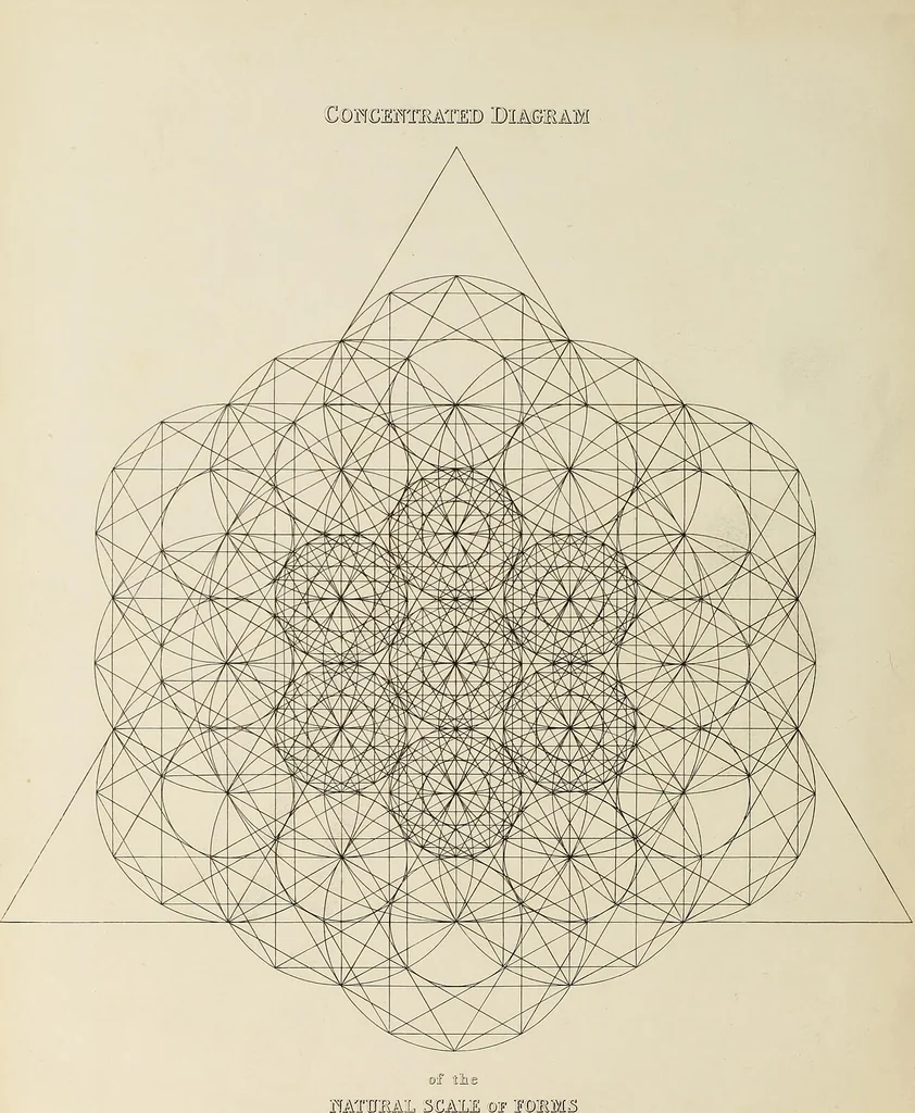 An illustration from The natural principles and analogy of the harmony of form, 1842, leaf 7